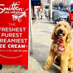 Smitten is throwing an ice cream pawty this Saturday from 3-4:15pm at our Pacific Heights shop! $1 off all Trios and free treats for our VIPs (very important pups)!  See you there!!