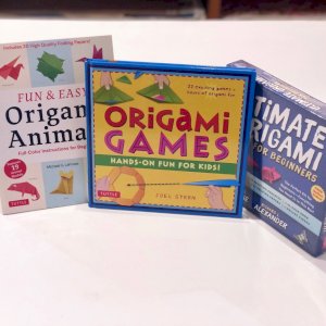 Some great beginner options for getting your toes wet in the origami world.