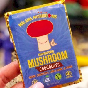 Try this delicious organic chocolate bar made from four different mushroom powder extracts: Reishi, Cordyceps, Lion's Mane, and Chaga.