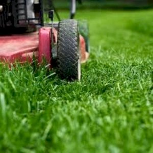 Do you need an extra pair of hands! Don’t hesitate to call! We offer lawn care and landscaping services in Hollidaysburg and Altoona Pa. You can reach us at 814-558-8747 and ask for Emilee. I am the assistant and help set up times to get you quoted. We will be happy to help you and feel free to ask any questions about what we offer! Still accepting new clients!