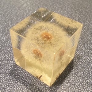 Make a wish for a happy healthy new year ! These dandelion nature cubes are from Kyoto Japan, available in two sizes.