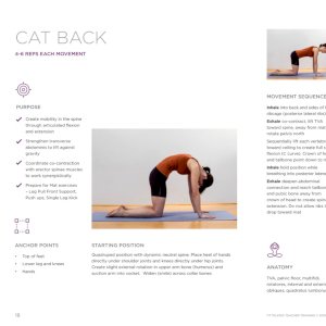 A sneak peek at our new ITT Pilates Teacher Training manuals! Our program and our instructors are highly trained see, sense, and create change for a healthier body. Come see for yourself!