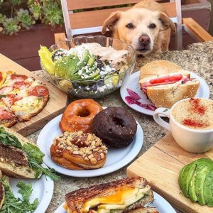 Check out this spread! We’ve got you covered for lunch today, and remember, we’re a dog friendly spot.