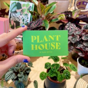 Stop by the Grand Opening Reception of Plant House by Rare Device at 500 Divisadero this Saturday, November 6, from 11-7pm. 

The first 30 customers to spend $50 will receive a free gift with their purchase!