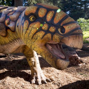 Big news, tiny humans: Our "Dino Days" festival of moving, roaring, life-size dinos has been EXTENDED! (Because how could we say no to you?) Now through May 27, step into our East Garden ... & 66 million years into the past.