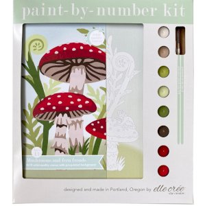 Paint by numbers kit
