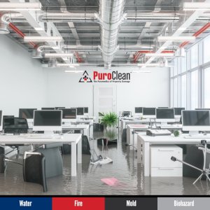 When businesses are affected by severe weather conditions, #facilitymanagers can rely on the professionals #PuroClean mitigate #propertydamage

That includes responding to #commercial #facilities with maximum efficiency to reduce our clients' downtime & revenue losses after a property disaster. Most importantly providing a safe work environment.
.
.
.
🚨 24- HOUR EMERGENCY SERVICES 
☎️ 1 (551) 999-1912

#disasterrestoration #largeloss #facilitymanagement #cleanup #disasterrecovery #facilitesmgmt