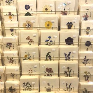 Back in stock! Pressed Flower Cards by local artist Tak Ming Lau. These cards are great for any occasion and blank on the inside.