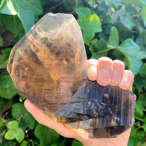 Some crystals like this Smokey Quartz grow in formations that are super fun to hold! Our favorite part of summer is watching all our crystals light up in the sunshine. We hope everyone had a great memorial day weekend!